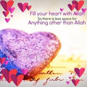 Meet your Posher, Anam